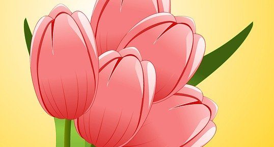 Logo der Blumenstube Brandes